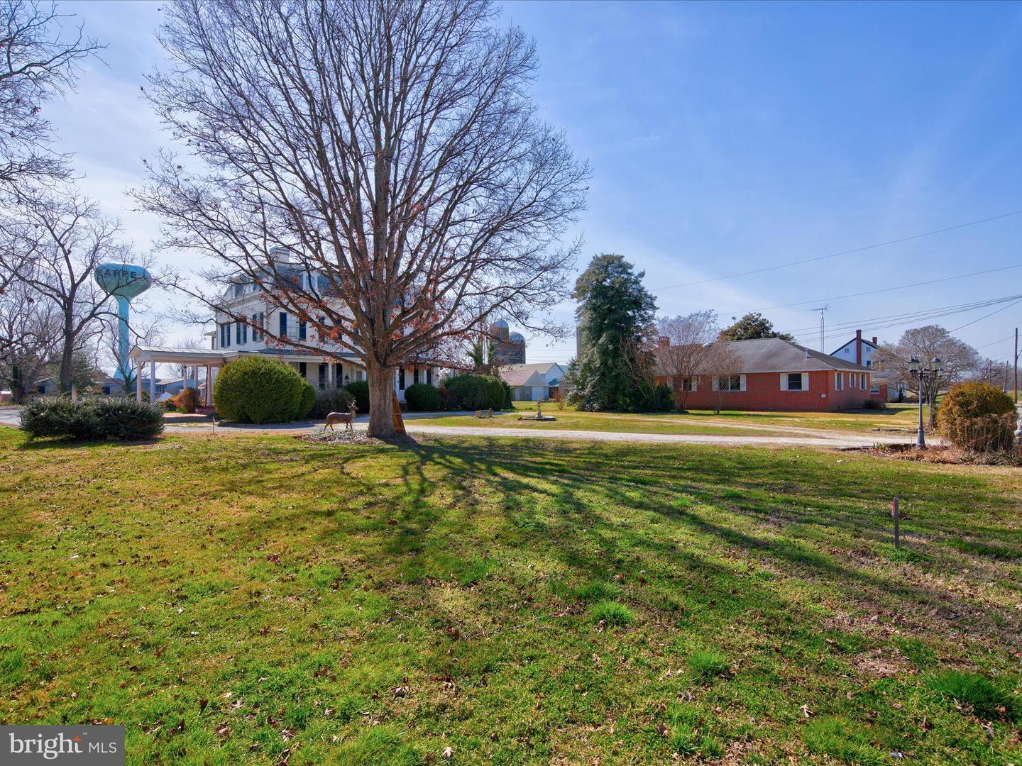 29299 MAPLE AVE,TRAPPE,MD,21673,TALBOT - MDTA2007348